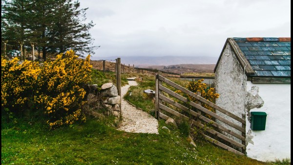 The Man Who Had No Story.