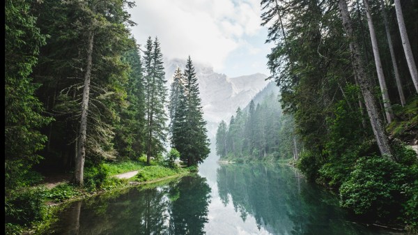 Le brochet empressé.