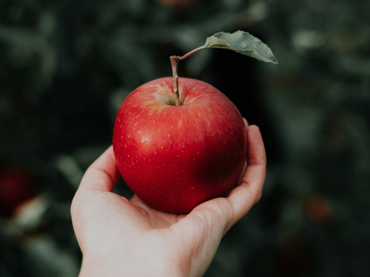 La pomme de la discorde — Contes de fée&nbsp;méconnus