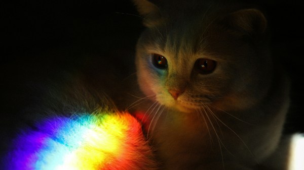 Fairer-Than-A-Fairy and The Rainbow Prince.