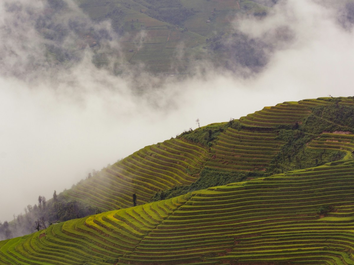 The Burning of The Rice Fields — Obscure Fairy&nbsp;Tales