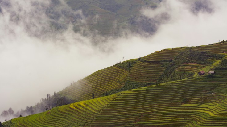 The Burning of The Rice Fields — Obscure Fairy&nbsp;Tales